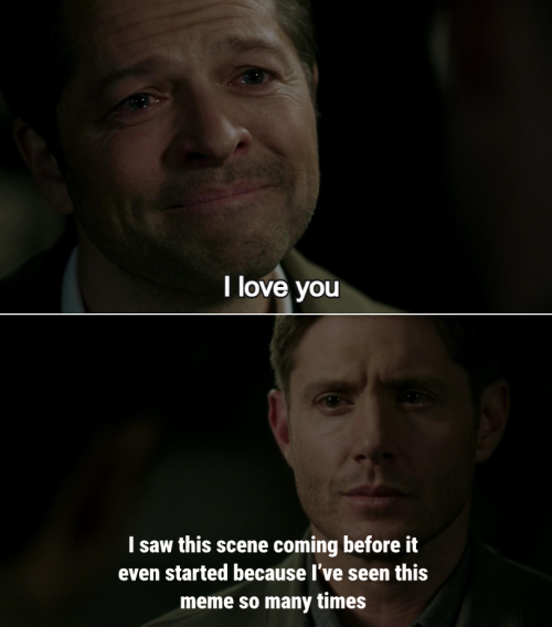 I Am NOT Okay Right Now