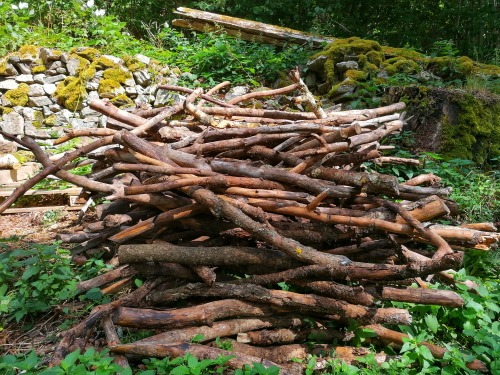 Back in early summer I stumbled upon this pile of wood while strolling in a pasture with Pan (to mee