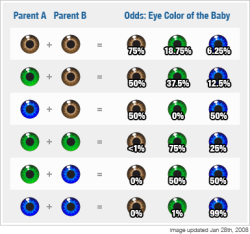 reallycheese:  im-batman-in-a-dress:  coldfuckingsport:  flowchartsforlife:  Interesting, this shows the probably of a child’s eye color based on the eye color of its parents!  My dad has blue eyes, my mom has brown eyes, and my eyes are greener than