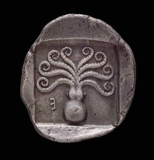 fromthedust: Didrachm  (reverse) - 8.6 grams silver - Eretria, Greece - 500-480 BCE  Tetradrach