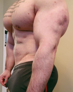 dragon86xxx:Adam Gerber