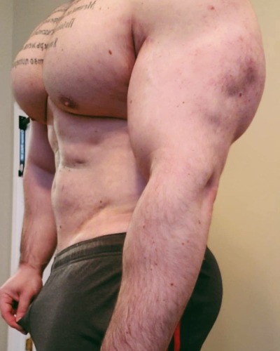 dragon86xxx:Adam Gerber