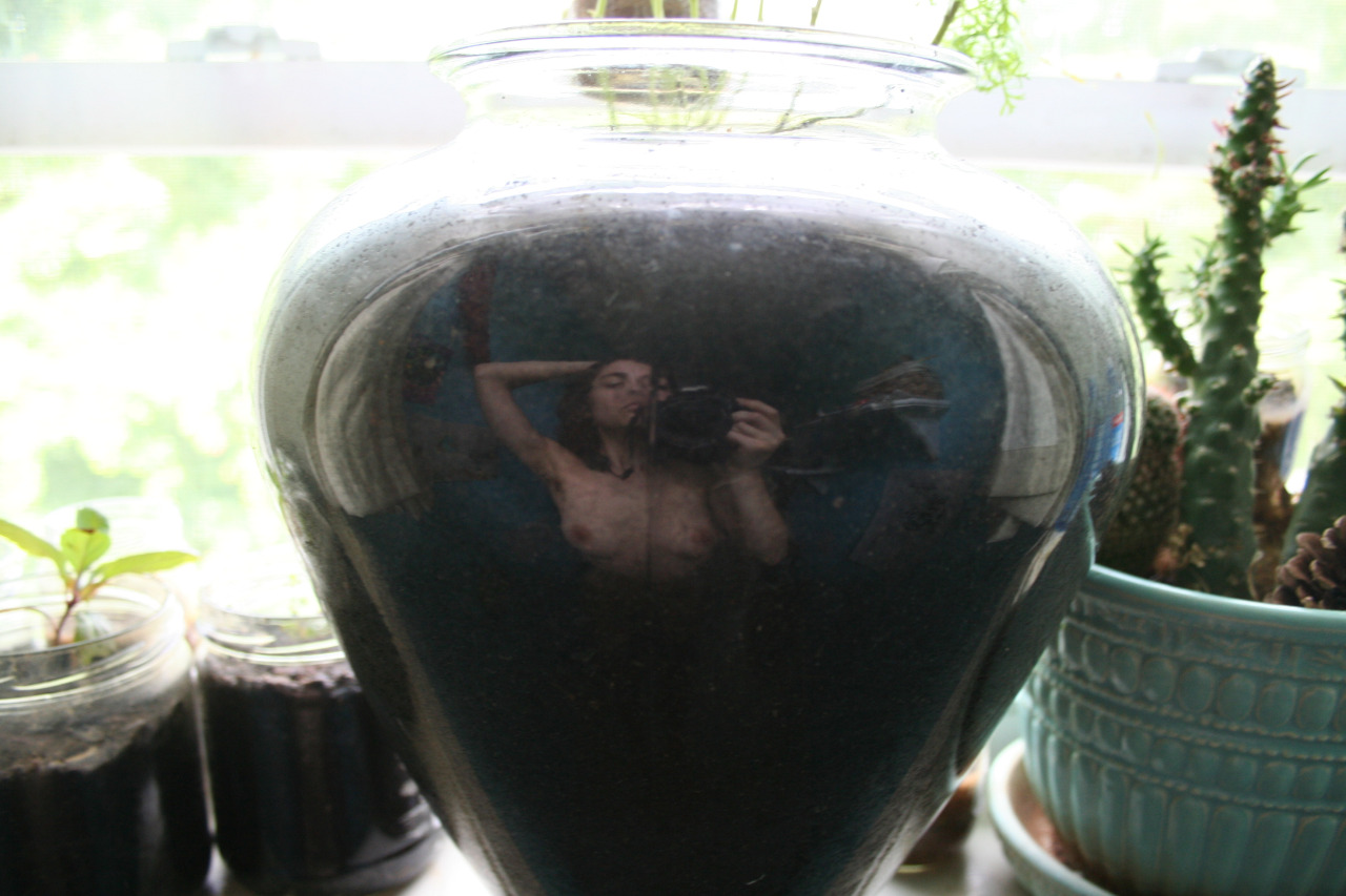 naked-yogi: portraits in a cilantro pot reflection featuring apple tree sprouts and