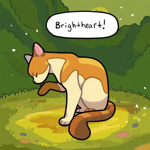 Brightheart and Cloudtail