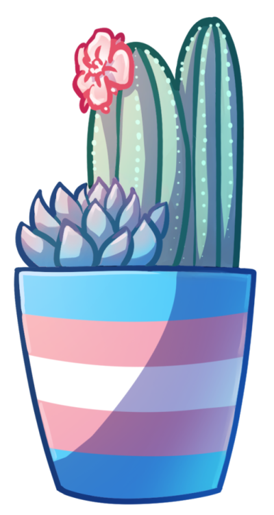 layaart:Pride cacti!!!! I originally just made the ace (cactace) and aro ones, but…..then I got carried away…. They’re a