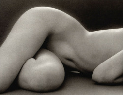 almavio:    Ruth Bernhard (1905 – 2006), Untitled, 1975 