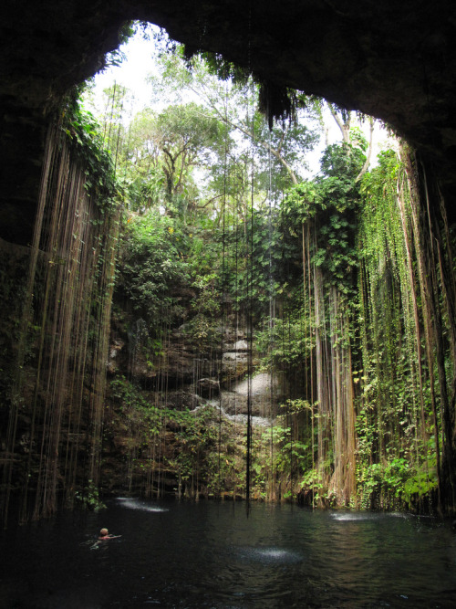 tropicalblxck:  tropischa:  travelthisworld:  Cenote Ik-Kil Cancun, Mexico | by chris-tina  ♡   Jung