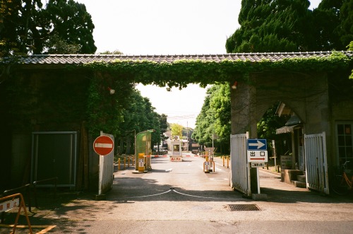 zyu10:Kyoto, Japan, 2015