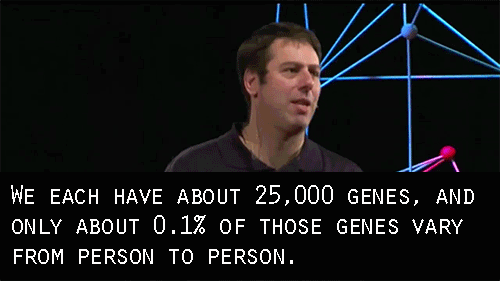 tedx:At TEDxYouth@Manchester, genetics researcher Dan Davis introduces the audience to compatibility