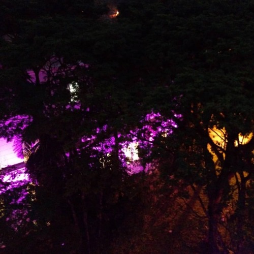 Noite e suas luzes… #brasil #SP #saopaulocity #fmuspoficial #usp #light #luz #sombra #rosa #r