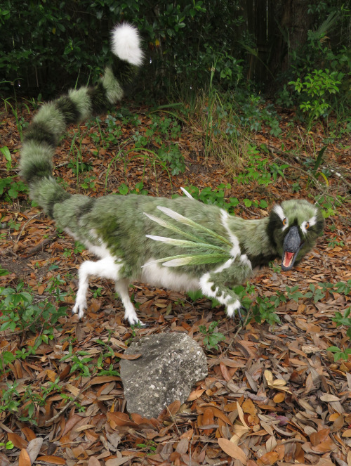 bookrat: Ubirajara, an amazing compsognathid with long display structures around its shoulders.The s