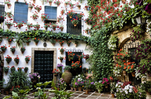 Cordoba, Spain