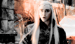 elvenking:    A hundred years is a mere blink in a life of an E l f.  
