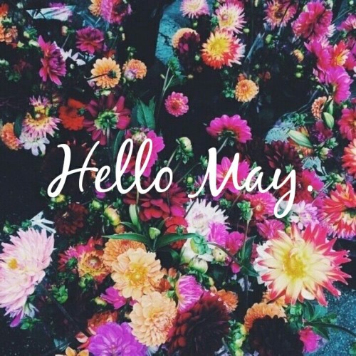 magics-secrets:  hell0…