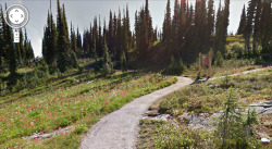 okmoonkid: +51° 2’ 47.7774”,-118° 8’ 28.6368”mount revelstoke national park, british columbia 