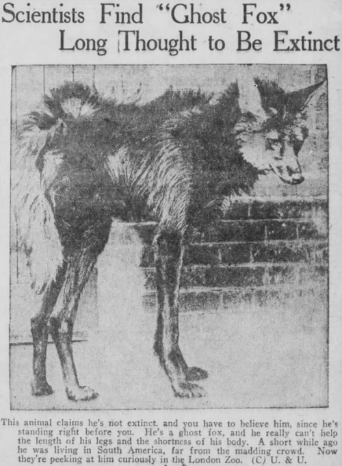 yesterdaysprint:Boston Post, Massachusetts, December 12, 1920