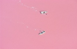 observando:  Lake Retba 