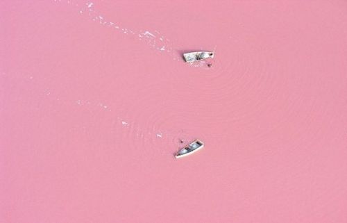 fraile-blog:  Lake Rebta, Senegal - Experts say the lake gives off its pink hue due to cyanobacteria, a harmless halophilic bacteria found in the water. It also has a high salt content, much like that of the Dead Sea, allowing people to float effortlessly