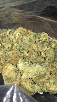 stonerontheeastside:  bought 10gs of bubblegum