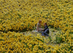 oarv:  “I loved a man who could never love me back. I was living in a fairytale.”Big Fish (2003) dir. Tim Burton