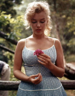 marilyn-monroe-collection:Marilyn Monroe photographed by Sam Shaw, 1957. 