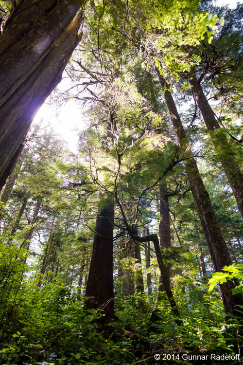 3.7.2014 - West Coast Trail you don`t disappoint!#BC #Canada #VancouverIsland #Bamfield #WestCoastTr