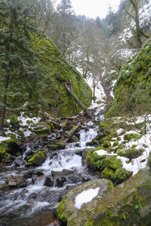 steepravine:Epic Waterfall And Snow Lined Creek(Hood River, Oregon - 12/2016)