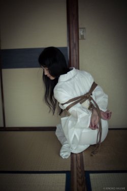 thevertigonetwork:  Kinbaku&Photo Hajime