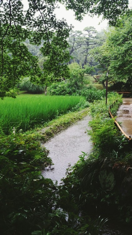 小石川後楽園