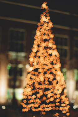 infamousgod:    christmas tree by Peter