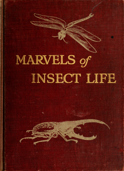 nemfrog: Marvels of Insect Life. 1916. 