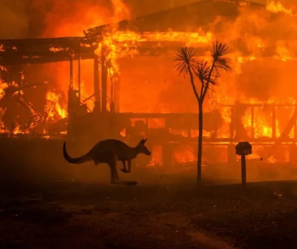 karlrincon:Let’s talk about what’s happening in Australia, which is suffering its worst bushfire season in recorded history.This almost unimaginable catastrophe has killed half a billion animals with more than 14.5 million acres burned and released