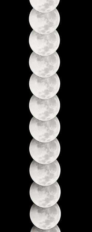 moonfall-requiem: 61 photos of the December 21st 2010 Lunar eclipse, taken in 2 minutes intervals. [
