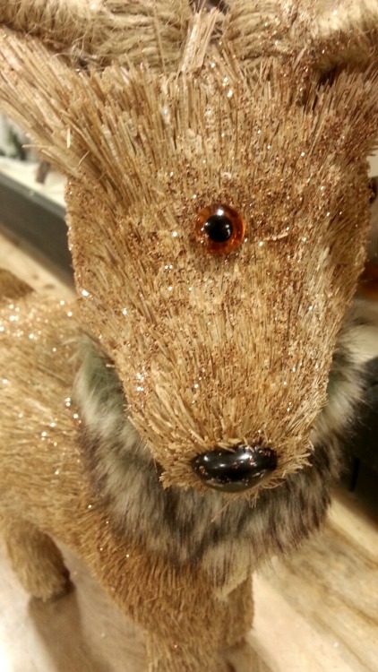 shoutkatvantas:im at homegoods and I found like a cyclops deer I nEED ITseananmcguire