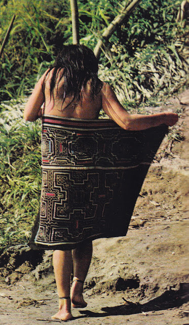 24kblk:exploring the amazon by national geographic society, 1970