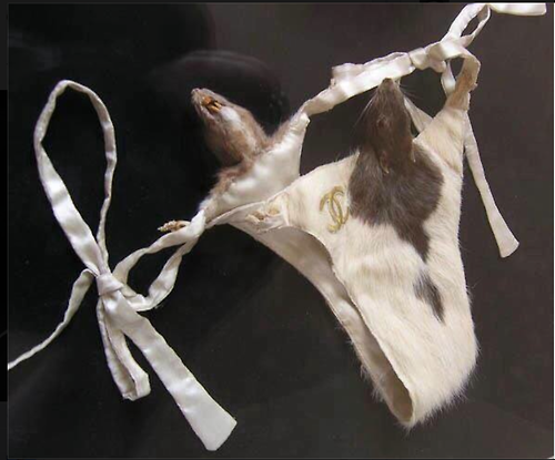 kyssthis16:  note-a-bear:  invisibleblackunicorn:  africanaquarian:  nopejuststop:  nwtsboy:  if u bouta fuck n she wearing deese pull her pants back up n go home.  Nooooooooooooooooo  What the whole hell  What part of the game is this shit? Which cracker