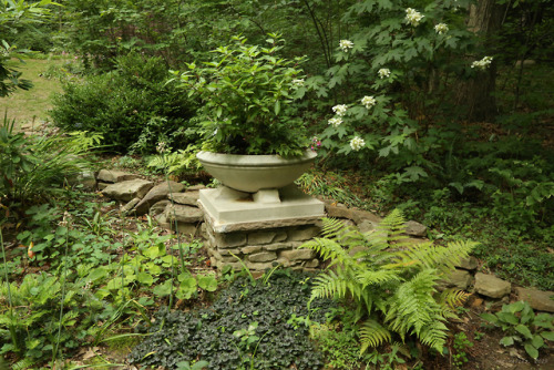 vandaliatraveler:West Virginia Botanic Garden at Tibbs Run Preserve, Panel 1: Formal Gardens and Pat