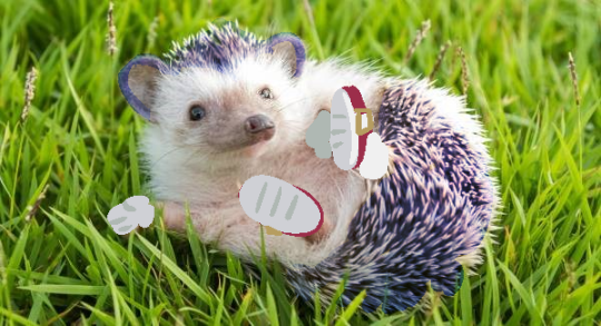 lesbianlinkle:  this is what i think film sonic should look like