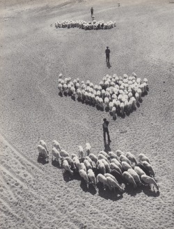 endilletante: Fulvio Roiter. Andalousie.