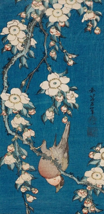 Details; Katsushika Hokusai, Canari et pivoines (1834), Weeping Cherry and Bullfinch.