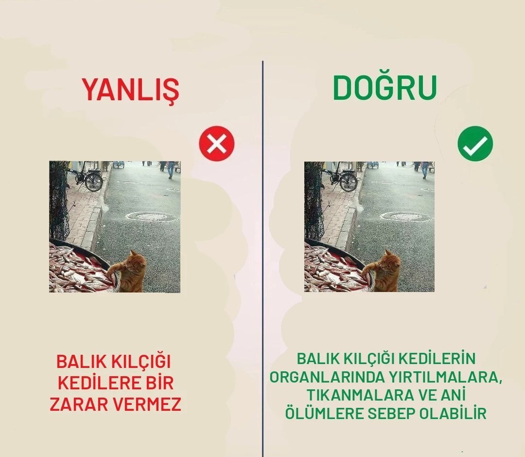 Kaynak