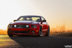 automotivated:  Canibeat - Scott’s ‘14 Mustang (by QuickWorksPhoto)