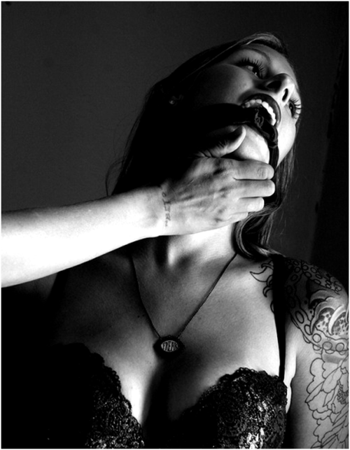 http://gaggedfantasies.tumblr.com/post/69203030862