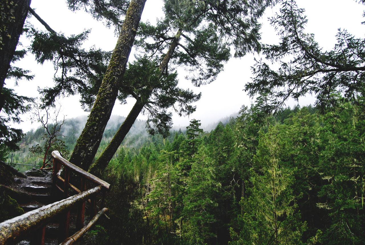 tuaari:  Sooke Potholes - January 2016
