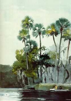 10  Winslow Homer  (1836-1910),  Homosassa