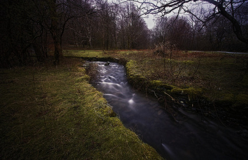 Like an Ever Flowing Stream by majestiele on Flickr.