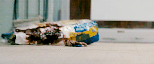 midnightmurdershow:    Splinter (2008) Directed by Toby Wilkins   