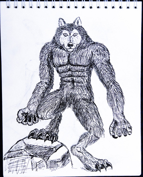  Werehusky