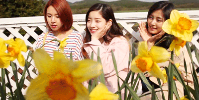 etherealtwice:school meal club
