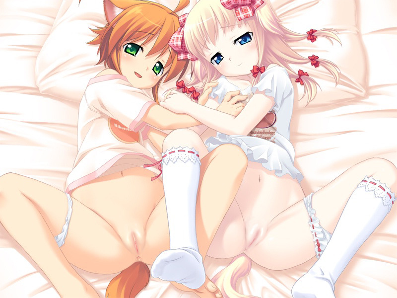 Sexy catgirls and stuff